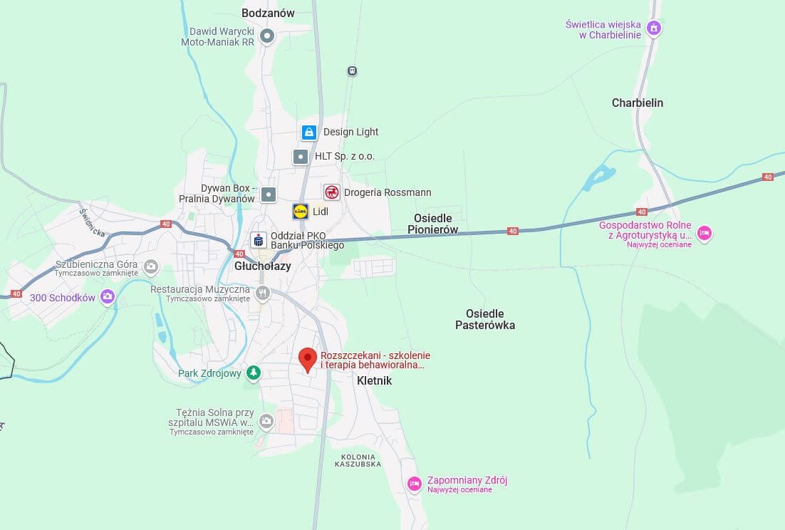 placeholder mapy google