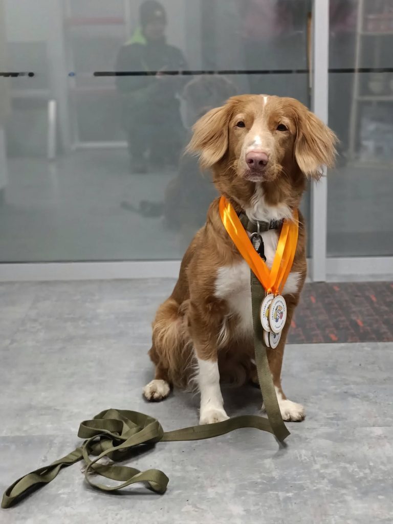 Owocowe Zawody Nosework we Wrocławiu