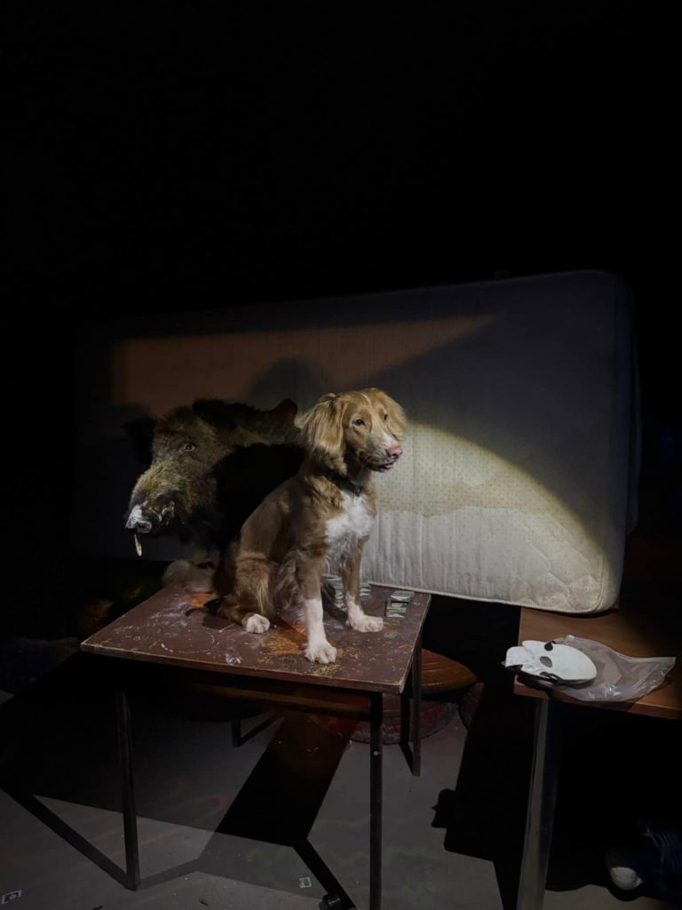 Zjazd kursu detekcji – Jastrzębia Góra