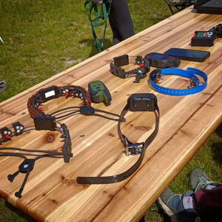 Seminarium o obroży elektronicznej