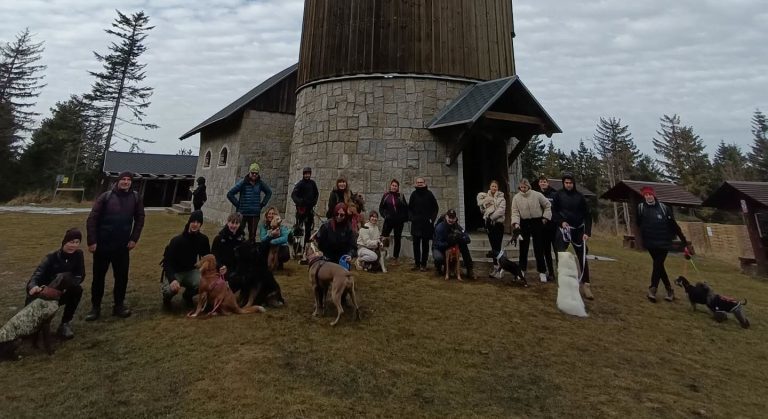 Duża grupa ludzi z psami pod wieżą widokową na Borówkowej Górze.