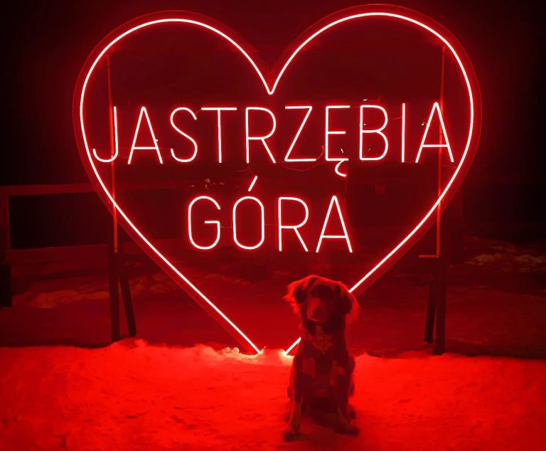 Pies rasy Toller siedzący przed świecącym na czerwono sercem z napisem Jastrzębia Góra.