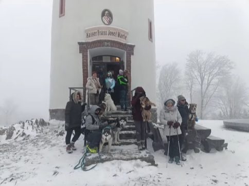Grupa psów z opiekunami pod wieżą widokową na Kopie Biskupiej.