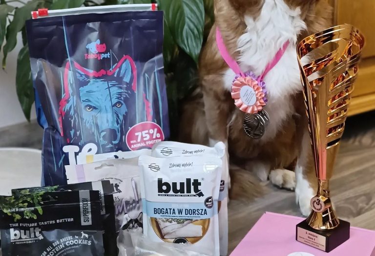 Zawody Nosework Jaworzno