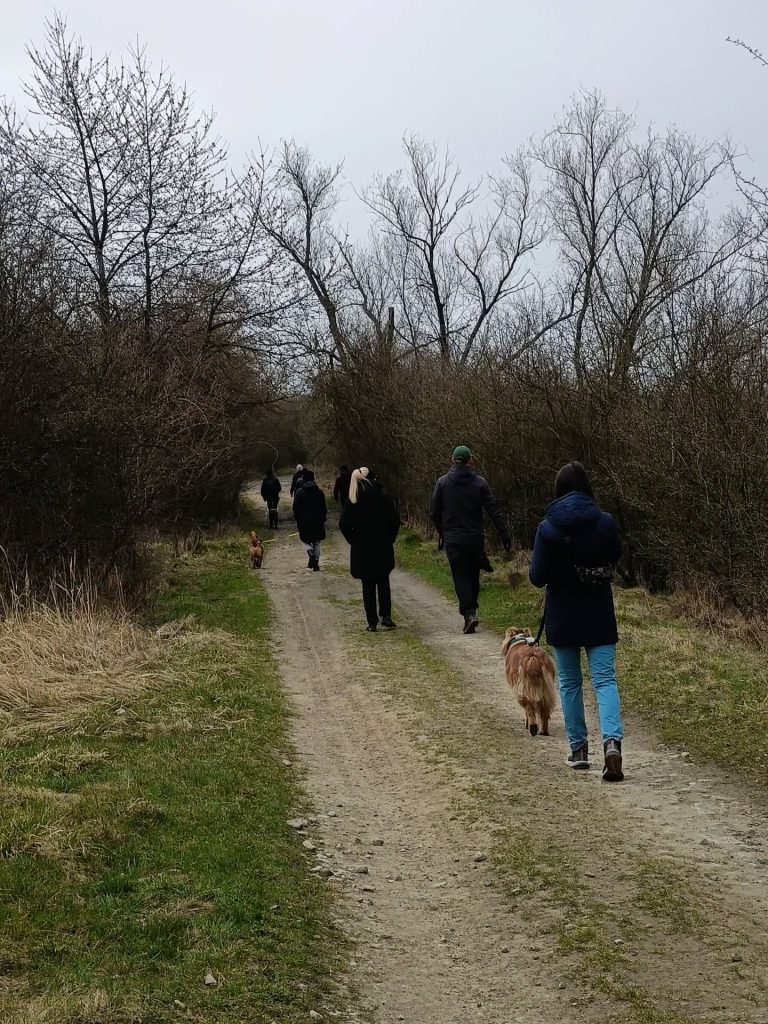 Grupa opiekunów z psami podczas spaceru socjalizacyjnego.