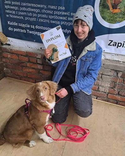 Retriever z Nowej Szkocji z trenerką psów z dyplomem za udział w testach zapchowych Polskiej Ligi Nosework.