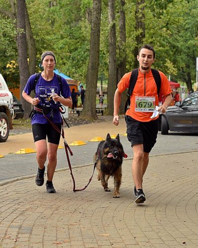 Trenerka psów z owczarkiem staroniemieckim na trasie VII Tyski Dogtrekkingu.
