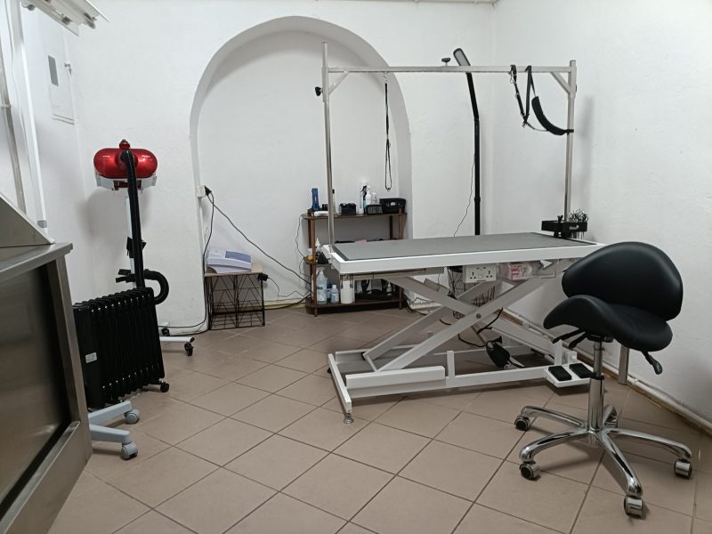 Profesjonalne stanowisko do pielęgnacji psów w salonie groomerskim z białym stołem podnośnym, specjalistyczną suszarką stojącą oraz czarnym taboretem siodłowym.