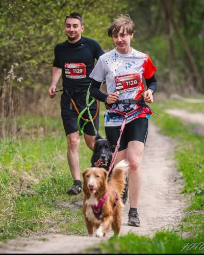 Ujęcie w ruchu z biegu Hard Dog Race. Psy – owczarek staroniemiecki i Nova Scotia Duck Tolling Retriever – są w pełnym biegu.