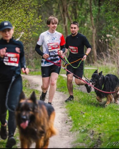 Ujęcie w ruchu z biegu Hard Dog Race. Psy – owczarek staroniemiecki i Nova Scotia Duck Tolling Retriever – są w pełnym biegu.