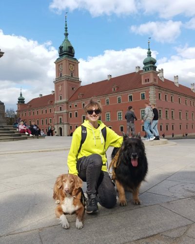 Owczarek staroniemiecki i Nova Scotia Duck Tolling Retriever (toller) podczas spaceru po warszawskiej Starówce. Psy pozują ze swoim opiekunem przed Zamkiem Królewskim. Wyraźnie widoczna różnica w wielkości i typie szaty obu psów: potężna sylwetka owczarka oraz mniejsza, sportowa budowa rudego tollera.