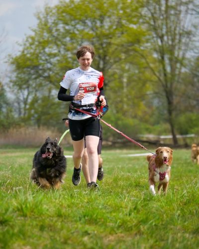 Ujęcie w ruchu z biegu Hard Dog Race. Psy – owczarek staroniemiecki i Nova Scotia Duck Tolling Retriever – są w pełnym biegu, napinając smycze. Widoczna jest trawiasta nawierzchnia łąki i zalesione tło.